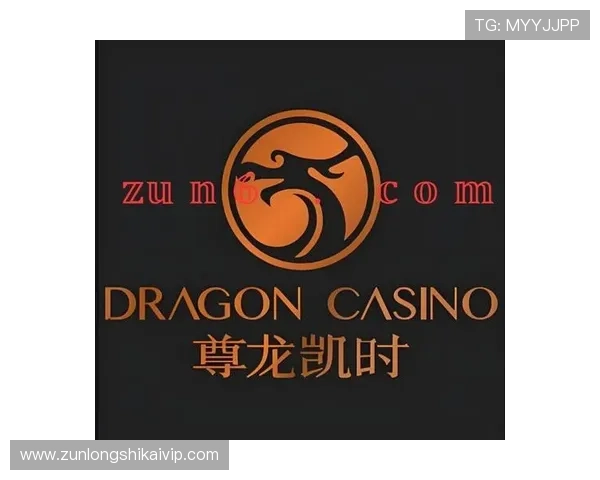 尊龙时凯平台入口详细介绍及常见问题解决方案,助你轻松畅玩游戏