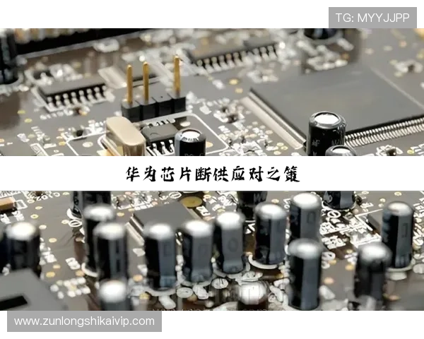 深入分析尊龙凯时平台免费版的盈利模式与前景