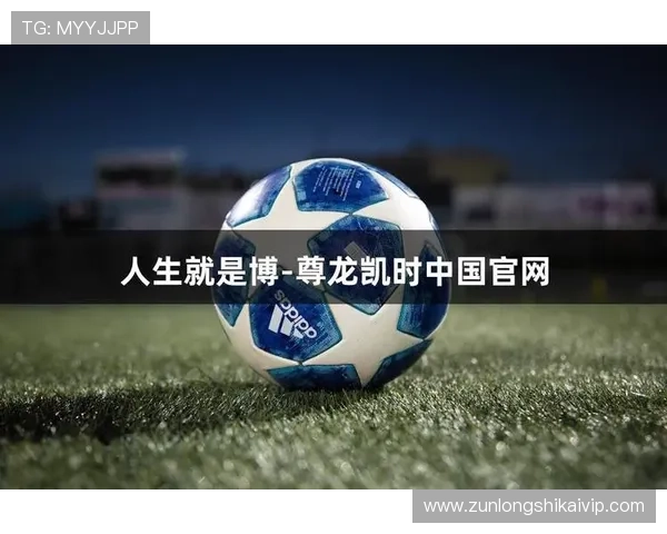尊龙d88人生就是博:如何在竞争激烈的社会中找到属于自己的成功路径
