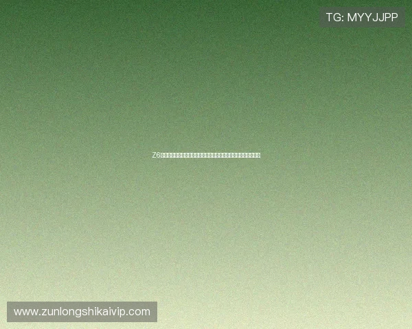 Z6尊龙手机版安全稳定运行保障,确保玩家畅玩无忧的最佳体验环境